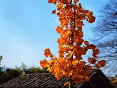 -塔川景区