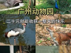 -广州动物园