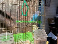 -俏湘私房菜(国贸店)