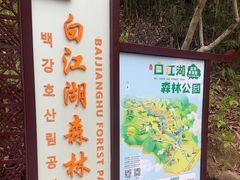 -广州白江湖森林公园