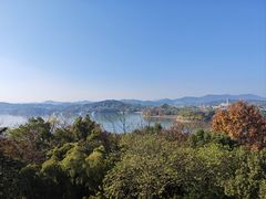 -天乐农家鱼头王(天目湖店)