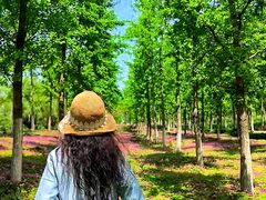 -汉长安城未央宫国家考古遗址公园