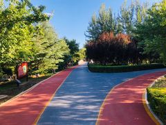 -大兴滨河森林公园