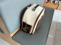 -艾贝尔宠物医院·24H转诊中心·肿瘤猫专科(江宁双龙店)