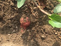 -乡乐园蟹庄·阳澄湖农家乐