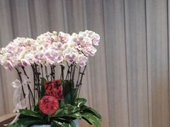 -汤悦温泉酒店(成都春熙路天府广场店)