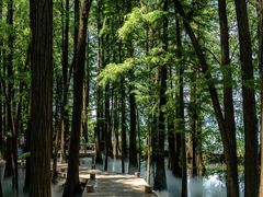 -东湖落雁景区