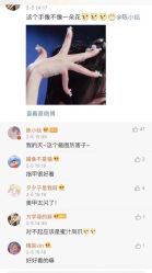 -U3美甲