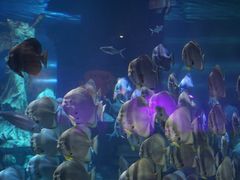 -梦幻海洋王国(吾悦广场张家港店)