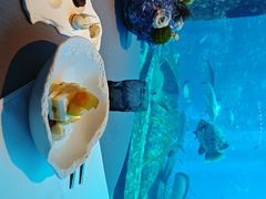 -OSSIANO奥西亚诺海底餐厅