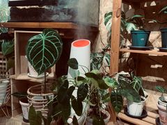 -Rabbit Cafe私房西餐甜点咖啡(栖霞路店)