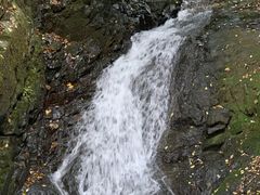 -藏龙百瀑风景区