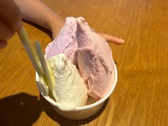 -陕拾叁-西安糕点(北院门创始店)