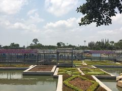 -东芭乐园
