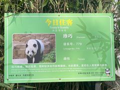 -安吉竹博园