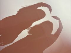 -西岸艺术中心·停车场