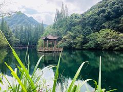 -宁海森林温泉