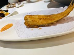-金春禧(世茂国际广场店)