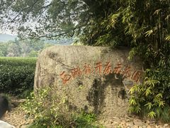 -中国茶叶博物馆(双峰馆区)