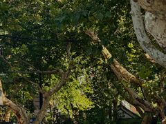 -南通濠河风景名胜区