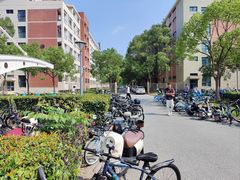 -xds喜德盛自行车(滴水湖店)