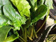 菠菜-哥老官重庆美蛙鱼头(宝山龙湖店)