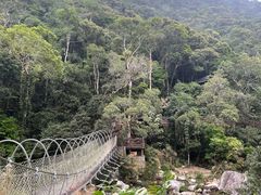 -海南热带雨林国家公园吊罗山景区