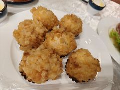 -丁老爷子苏香圆