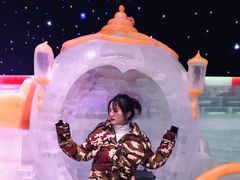 -梦幻奥陶纪景区