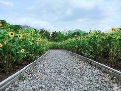 -二沙岛艺术公园