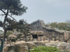 -武汉动物园
