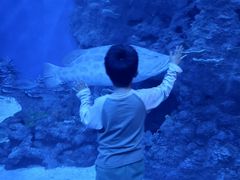 -成都浩海立方海洋公园