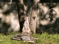 -合肥野生动物园
