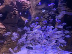 -成都浩海立方海洋公园