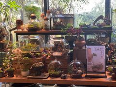 -自由生长植物工作室(深港花卉中心店)