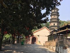 -赭山公园