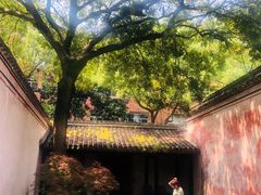 -慈城孔庙