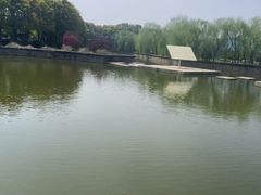 -上海鲜花港