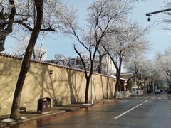-静园(和平区)
