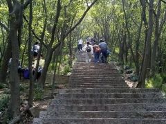 -紫金山山顶公园
