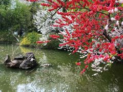 -南山风景名胜区