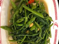 -中国城银都鱼翅酒楼