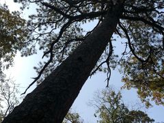 -北京上方山国家森林公园