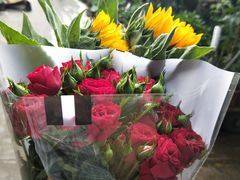 -桂林市花鸟市场