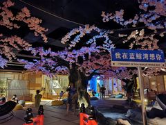 -蓝鲸湾汤泉(包河店)