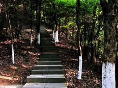 -云碧峰国家森林公园