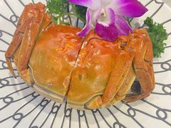 金陵花雕醉熟蟹-馨方园食府·市井老南京菜