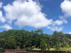 -海南热带雨林国家公园吊罗山景区