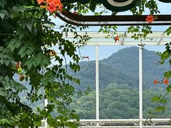 -杭州西湖风景名胜区-满觉陇四眼井