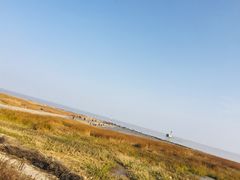 -南汇嘴观海公园